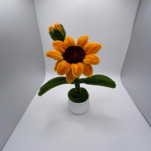 Può includere: Un girasole fatto a mano con scovolini gialli, arancioni e marroni. Il fiore ha un centro marrone scuro e foglie verdi ed è esposto in un piccolo vaso bianco. È presente anche un bocciolo verde.