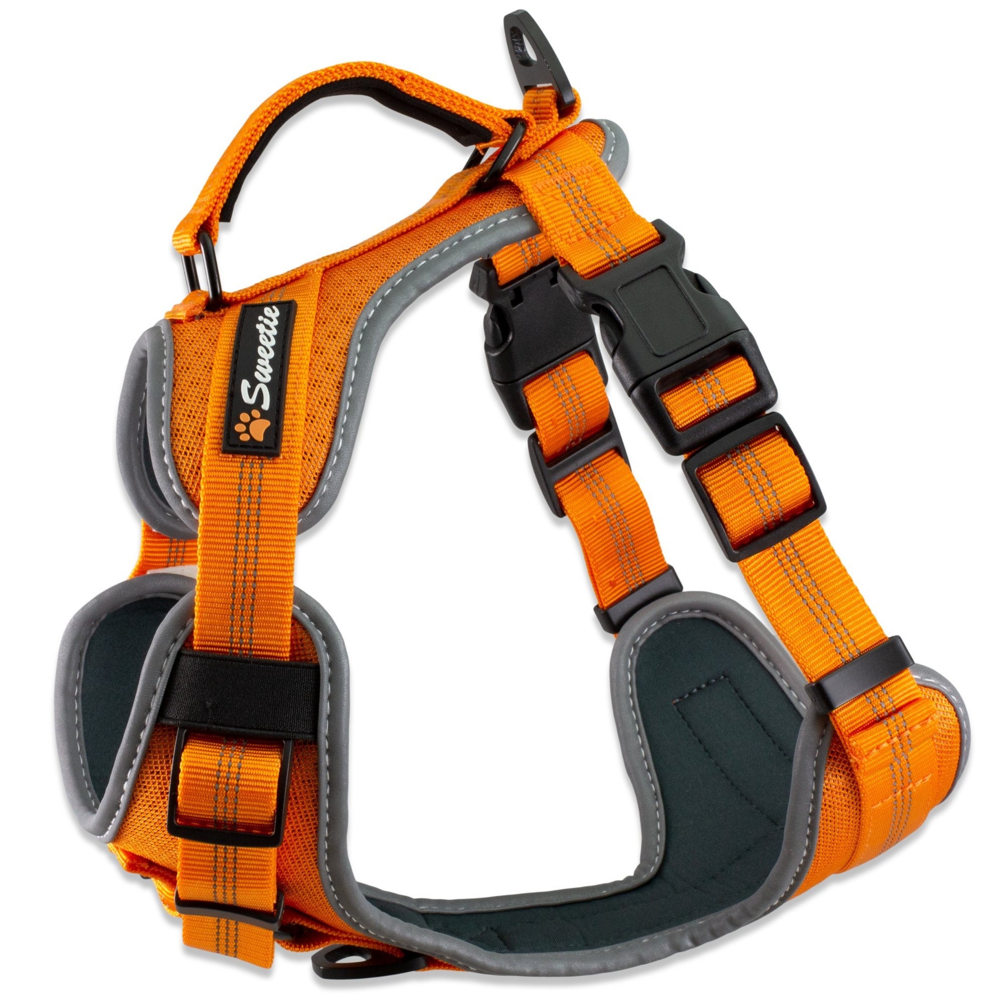 Sweetie 2025 dog lead