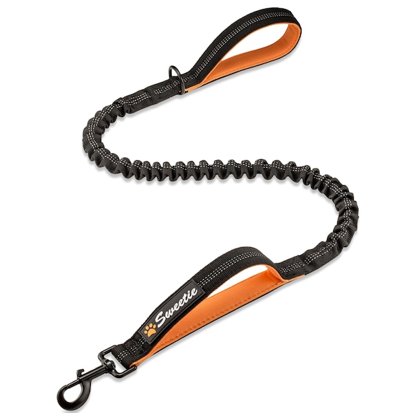 Bungee Dog Lead - Shock Absorbing Leash that Softens Pulls – Neoprene Padded Handles for Extra Comfort - Reflective for Safer Night Walking