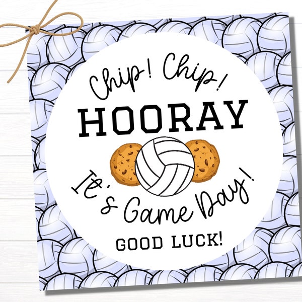Volleyball Good Luck Tags | Printable Volleyball Party Favor | Volleyball Coach Gift | Volleyball Team Treat Tags | Volleyball Printable
