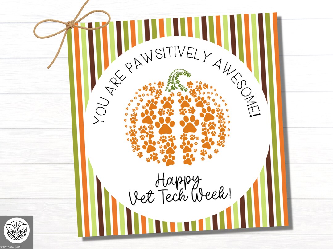 Veterinary Technician Week Vet Tech Appreciation Gifts for Etsy