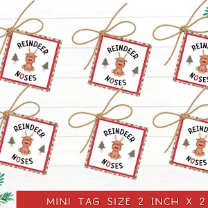 Afdrukbare rendierenneuzen | Kersttraktatietastoppers | Labels rendieren | Kersthangers | Afdrukbare kerstbedankkaartjes | Klassecadeaus