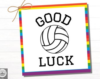 Volleyball Good Luck Tags | Printable Volleyball Party Favor | Volleyball Coach Gift | Volleyball Team Treat Tags | Volleyball Printable