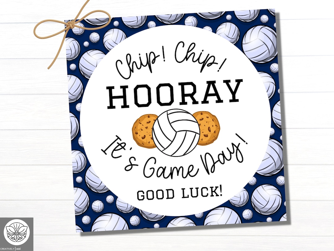 Volleyball Good Luck Tags Printable Volleyball Party Favor Il 1080xN.4533854954 3w0h