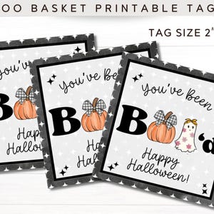 Spooky Boo Buckets Basket Bag Halloween Treat Tag Printable | You&#39;ve Been Booed | Roommate Gift | Package For Her | Party Favors