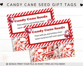 Christmas Candy Cane Seeds White Elephant Gag Gift | Secret Santa Gift | Stocking Stuffer | Puzzle Bag Topper | Kids Christmas Favors