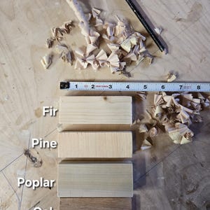 May include: A carpenter's workspace with wood shavings, a pencil, and a measuring tape. Four wood samples labeled Fir, Pine, Poplar, and Oak are displayed, showcasing different wood grains and colors. The measuring tape shows inches.