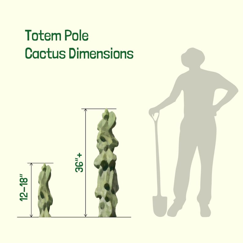 Totem Pole image 5
