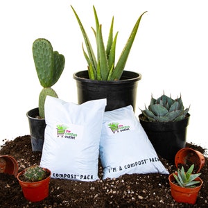 Succulent Soil for Aloe - Etsy