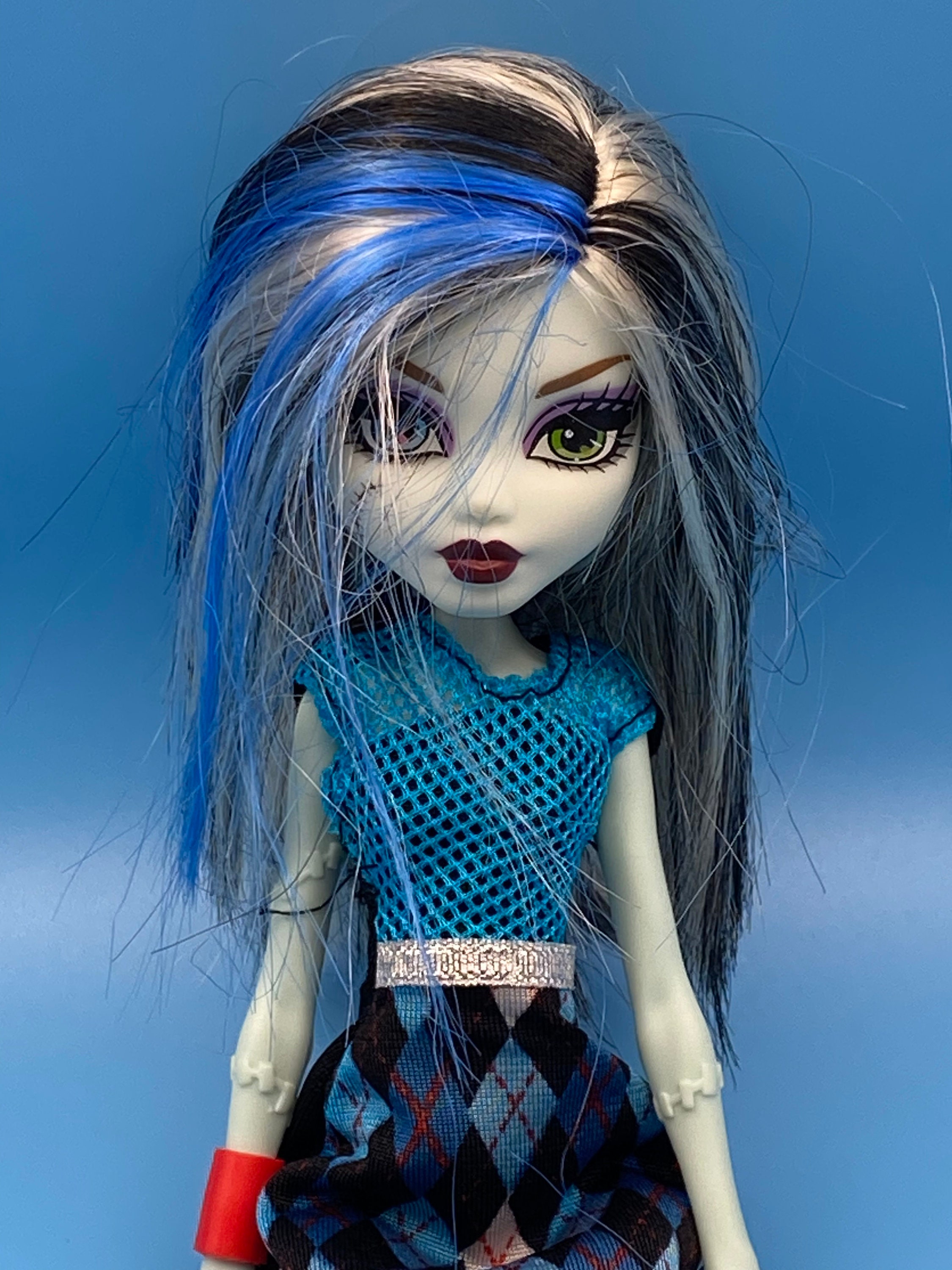 Monster High Doll, Frankie Stein with Accessories and Pet, Posable Fashion  Doll with Blue and Black Streaked Hair