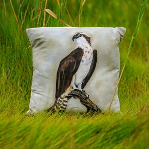 Federa Osprey - Serie Shorebird