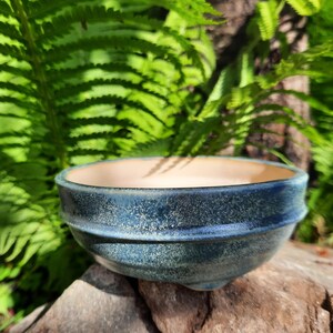 Ceramic bonsai pot