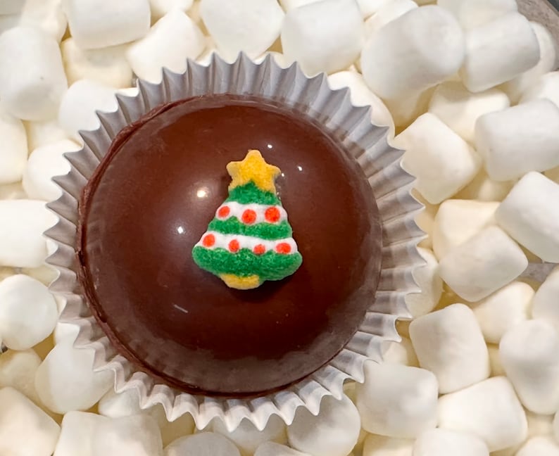 Christmas Hot Chocolate Bombs - Assorted - Box of 6 Sweet Cocoa Bombs ...