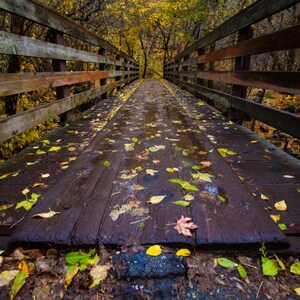 Local Utah Fall Landscapes &quot;Bridge Wandered&quot; Canvas - Metal - Prints - 11x 14 -16 x 20