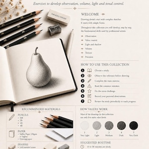 Pode incluir: Uma folha de instruções Pencil Drawing Guided Studies com um esboço de pera, vários lápis de desenho marcados 2B, HB, 4B e 6B, um apontador de metal e uma borracha limpa-tipos. O documento detalha exercícios, escalas e materiais.