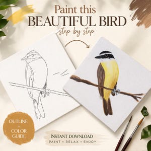 Pode incluir: Duas telas quadradas mostram uma pintura de um pássaro, uma como contorno e a outra concluída com cores amarelo, marrom e preto. O texto "Paint this BEAUTIFUL BIRD step by step" está no topo. As palavras "OUTLINE + COLOR GUIDE" e "INSTANT DOWNLOAD PAINT RELAX ENJOY" também são visíveis.