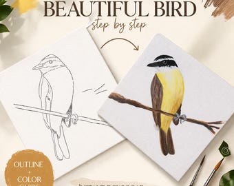 Bird Painting Template for Beginners | Acrylic Color Guide | Easy Step by Step | Outline Drawing | Instant Download