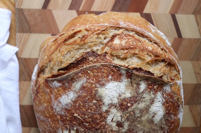 FRESH 100 Grams Organic Sourdough Starter/ Very Active Live Etsy