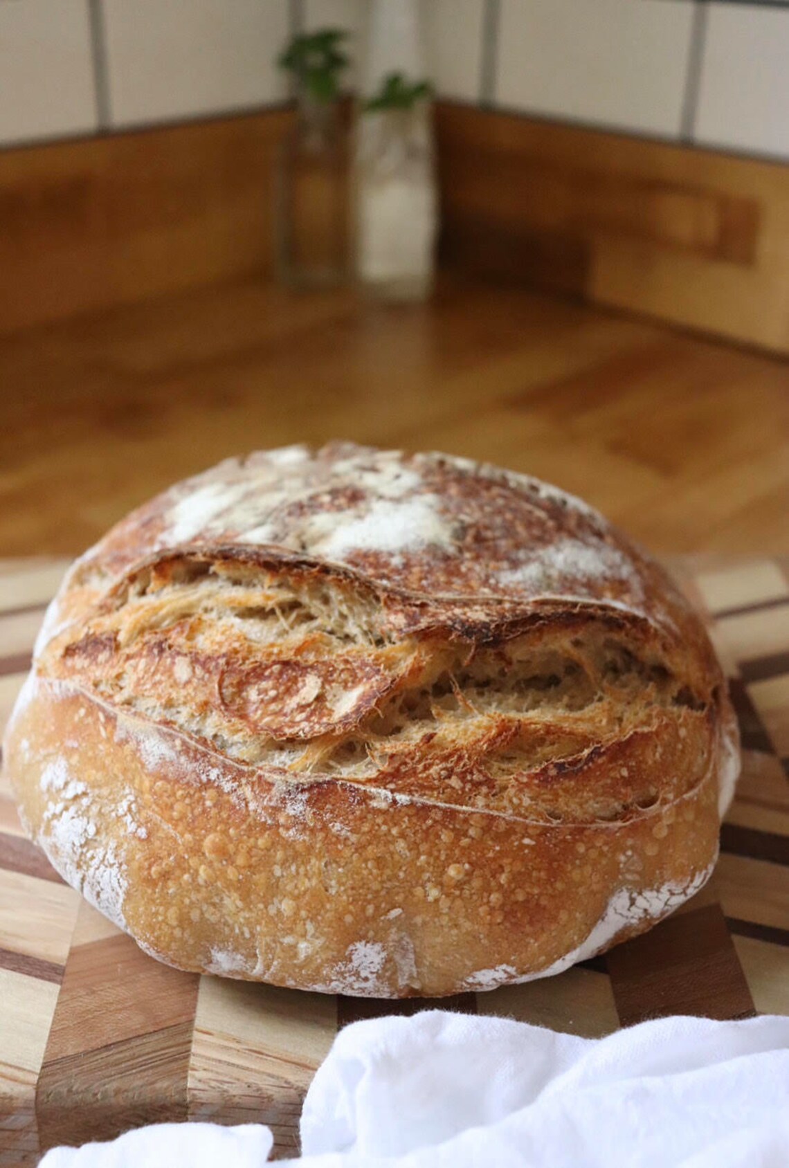 FRESH 100 Grams Organic Sourdough Starter/ Very Active Live Etsy