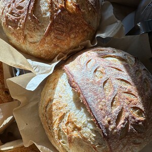 FRESH 100 grams organic sourdough starter/ Very Active live starter 画像 7