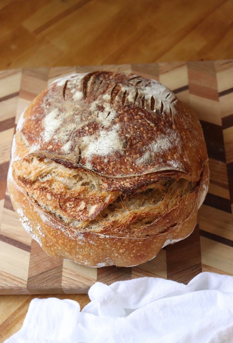 FRESH 100 Grams Organic Sourdough Starter/ Very Active Live Etsy