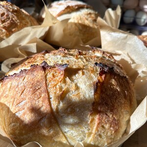 FRESH 100 grams organic sourdough starter/ Very Active live starter 画像 9