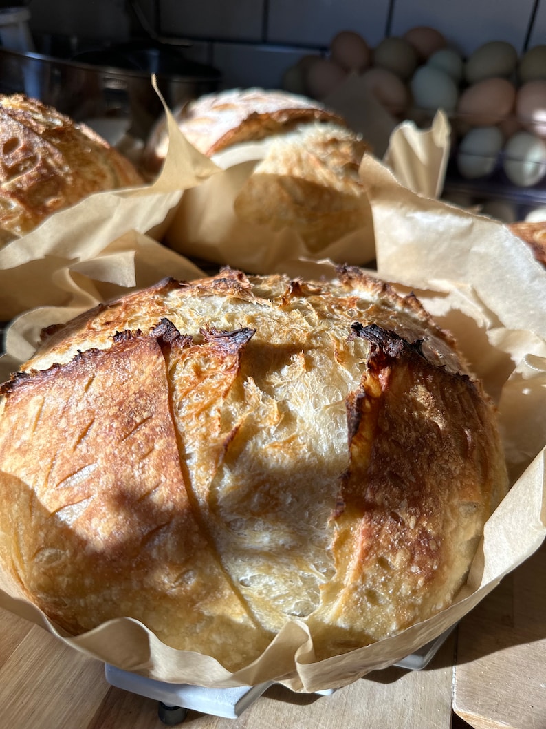 FRESH 100 grams organic sourdough starter/ Very Active live starter 画像 9