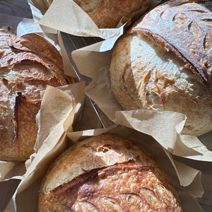 FRESH 100 grams organic sourdough starter/ Very Active live starter 画像 8