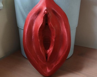 Oversized Vulva Wall Decor, Vulva Art, Funny Housewarming Gift