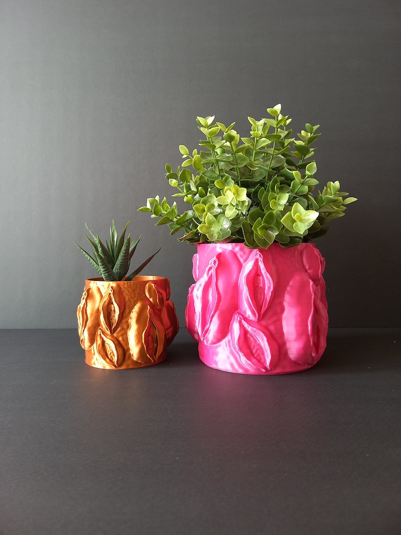 Female Body Planter, Fun Plant Pots, Birthday Gift for Her, Vulva ...