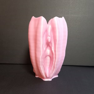 以下が含まれることがあります： ユニークな有機的な形をしたピンクの3Dプリントの花瓶。花瓶は滑らかで質感のある表面と、上部に広い開口部があります。