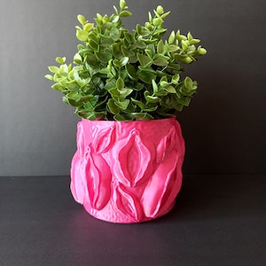 Puede incluir: Una maceta de cerámica rosa con un diseño texturizado único que se asemeja a una flor. Una pequeña planta verde está creciendo dentro de la maceta.
