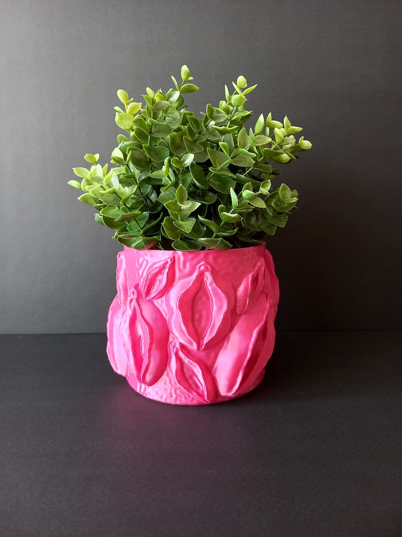 Female Body Planter, Fun Plant Pots, Birthday Gift for Her, Vulva ...