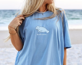 Peut inclure: Un t-shirt bleu clair avec un dessin animé de lamantin et le texte "Oh the fun-manatee!" imprimé sur le devant.