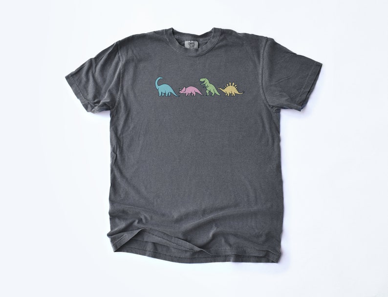 May include: A dark gray t-shirt with a line of colorful dinosaurs printed on the front. The dinosaurs are a blue brachiosaurus, a pink triceratops, a green T-Rex, and a yellow stegosaurus.