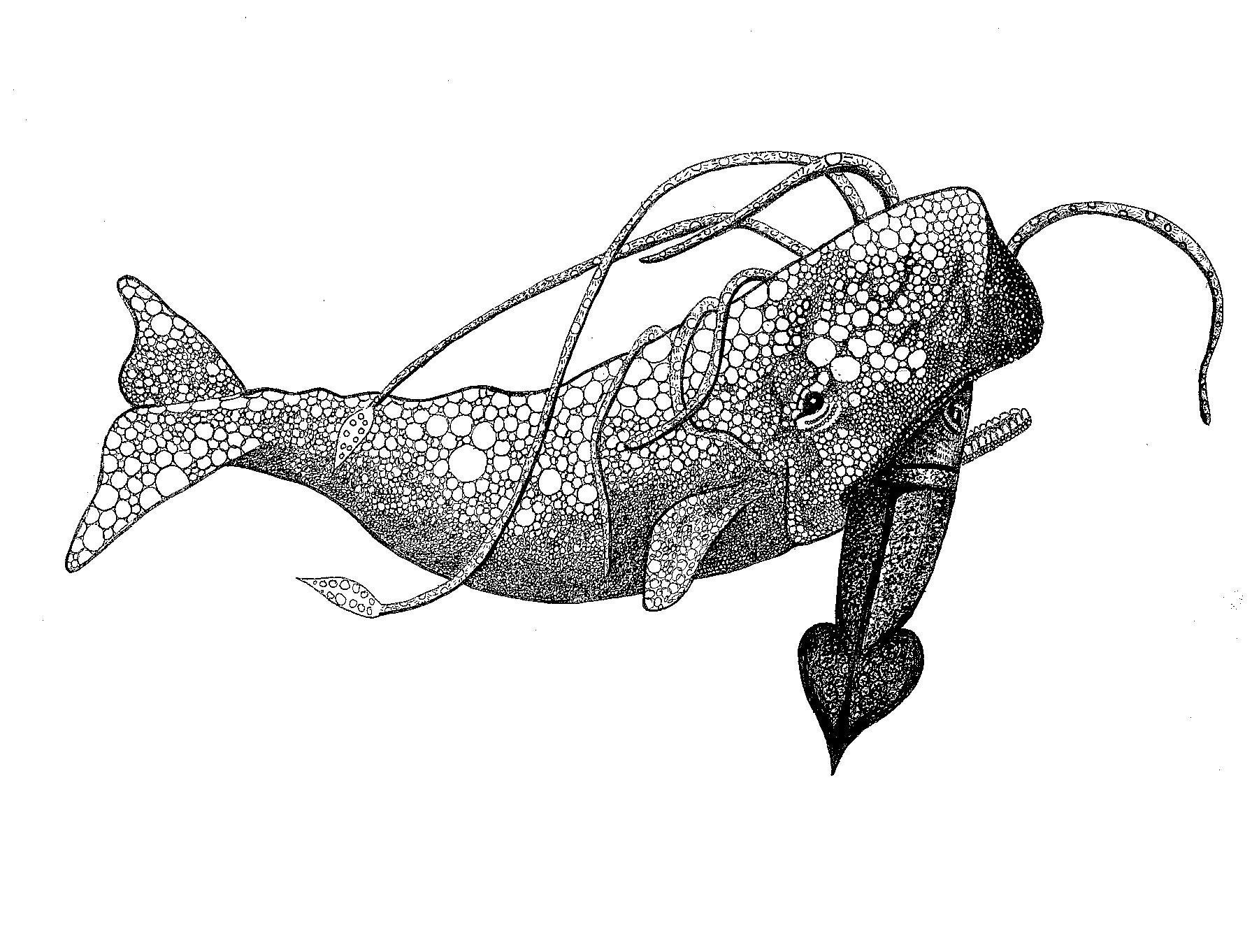 Whale Battle Sperm Whale Vs Giant Squid Original Art Print - Etsy India