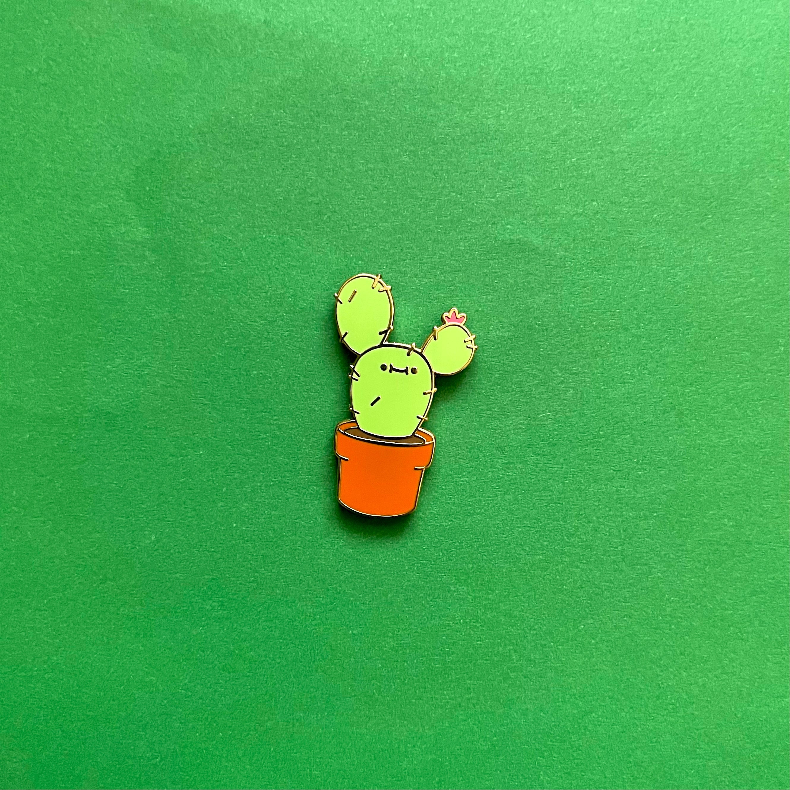 Kleine cactuspin