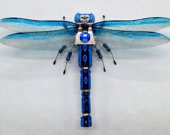 Dragonfly
