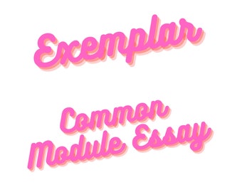 Módulo común ejemplar: Ensayo sobre textos y experiencias humanas (Toda la luz que no podemos ver) / HSC avanzado de inglés / Notas - Ensayos /