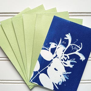 May include: A set of rectangular cards arranged in a fan shape. The top card features a deep blue background with a white botanical silhouette print of honeysuckle flowers and leaves. The remaining cards underneath are a solid light sage green color.