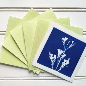 May include: A set of square greeting cards featuring a cyanotype print of a white wildflower on a deep blue background, paired with light lime green envelopes. The cards are arranged in a fan shape, showcasing the botanical art and paper.