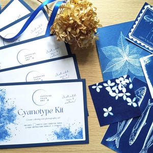 Cyanotype Paint Party Kits, Basic Cyanotype Kits with Light-Sensitive Paper, DIY Blueprint Sun Photography Art At Home