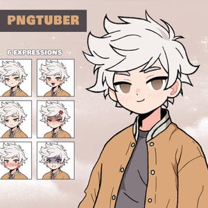 Modello PNGTuber di ragazzo dai capelli bianchi - Avatar di streaming maschile predefinito - GifTuber animato - Pronto per l'uso su Veadotube mini