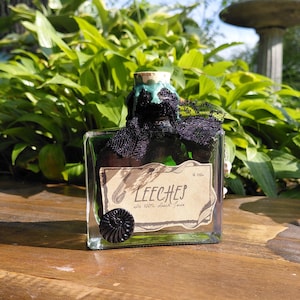 Sanguijuelas / Ingrediente para poción mágica que cambia de color / Botella de poción de Halloween / Decoración de boticario / Objeto de colección para brujas y magos