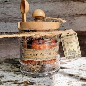 May include: A glass jar filled with orange pumpkins, labelled "Magical Pumpkins." The jar has a wooden lid with a mushroom-shaped stopper and a small wooden spoon. A tag reads "Harvested from Hagrid's Hut."