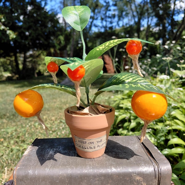Dirigible Plums Magical Plant | Potted Herbology Replica | Witch & Wizard Prop Collectible