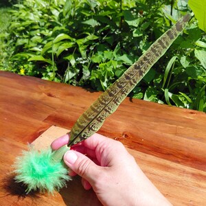 Puede incluir: Un juguete para gatos que presenta una pluma larga y puntiaguda con un patrón moteado en marrón y negro, unida a una base de pompón esponjoso de color verde brillante. La pluma tiene manchas y rayas de color marrón oscuro y la base es de fibras sintéticas verdes.