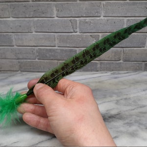 May include: A green and black pheasant feather quill pen with a green feather tip. The pen is being held in a hand.