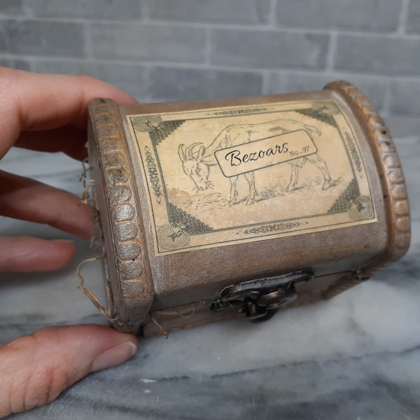 Bezoars | Magical Healing Potion Ingredient | Healing Rocks in Wooden Trunk Chest Box | Witch and Wizard Collectible