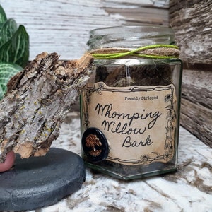 Whomping Willow Bark | Magical Herbology Sample Specimen Potion Bottle | Glass Apothecary Jar | Witch & Wizard Collectible